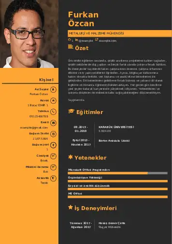 Metalürji Ve Malzeme Mühendisliği Cv Örnekleri cv indir